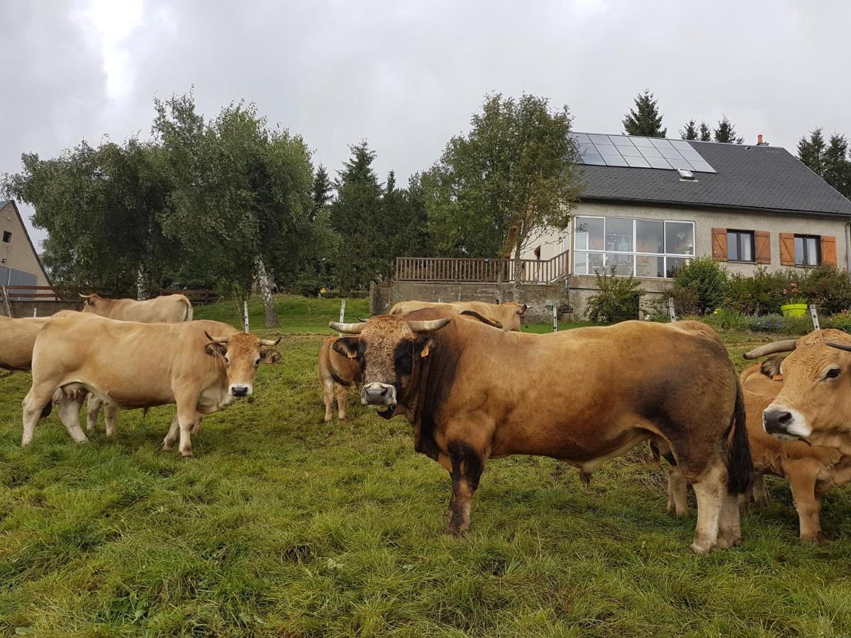 Horizon Aubrac Laguiole B&B 외부 사진